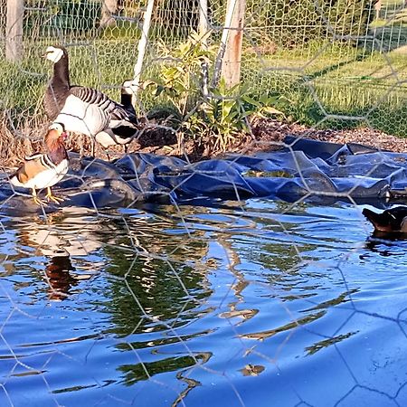 Podroze Checz Villa Charbrowo Kültér fotó