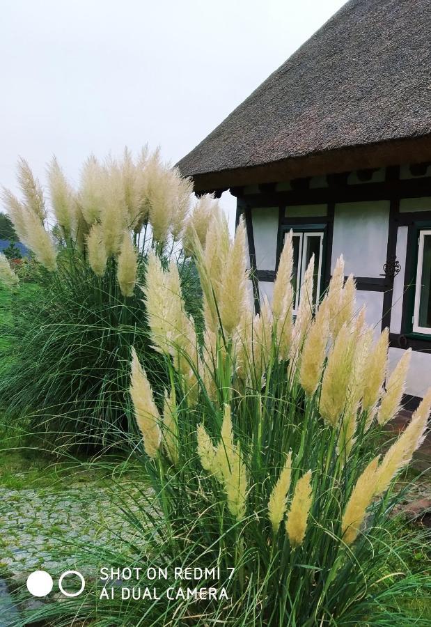 Podroze Checz Villa Charbrowo Kültér fotó