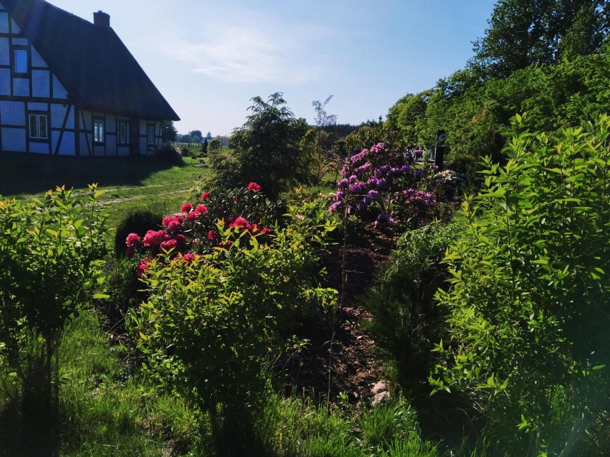 Podroze Checz Villa Charbrowo Kültér fotó
