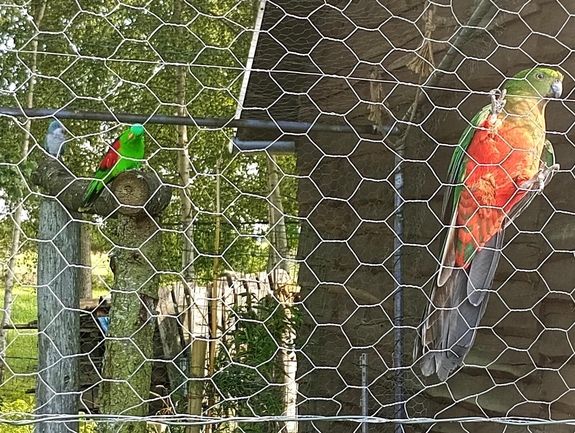 Podroze Checz Villa Charbrowo Kültér fotó